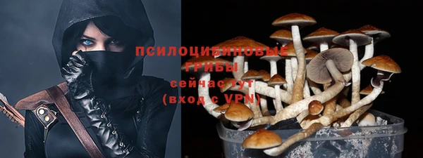 герыч Переславль-Залесский