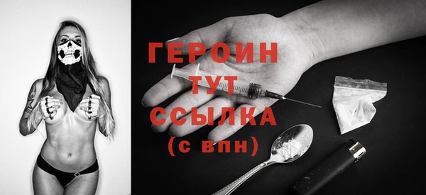 гашик Пестово