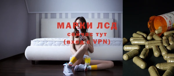 гашик Пестово