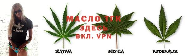 гашик Пестово