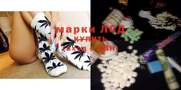 гашик Пестово