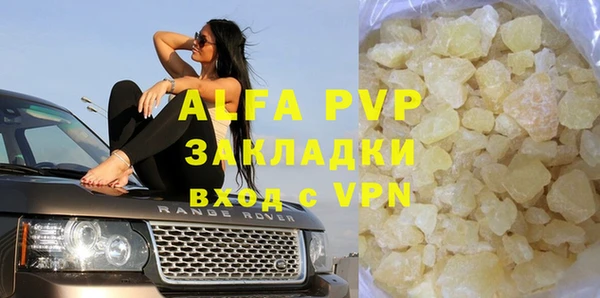 гашик Пестово