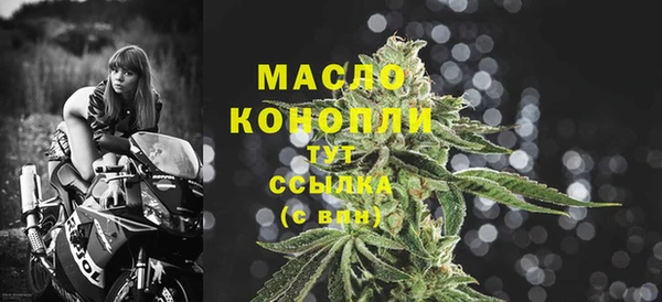 гашик Пестово