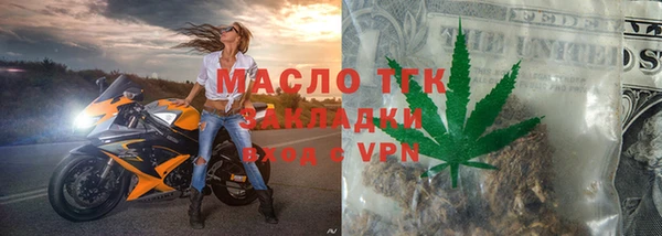 гашик Пестово