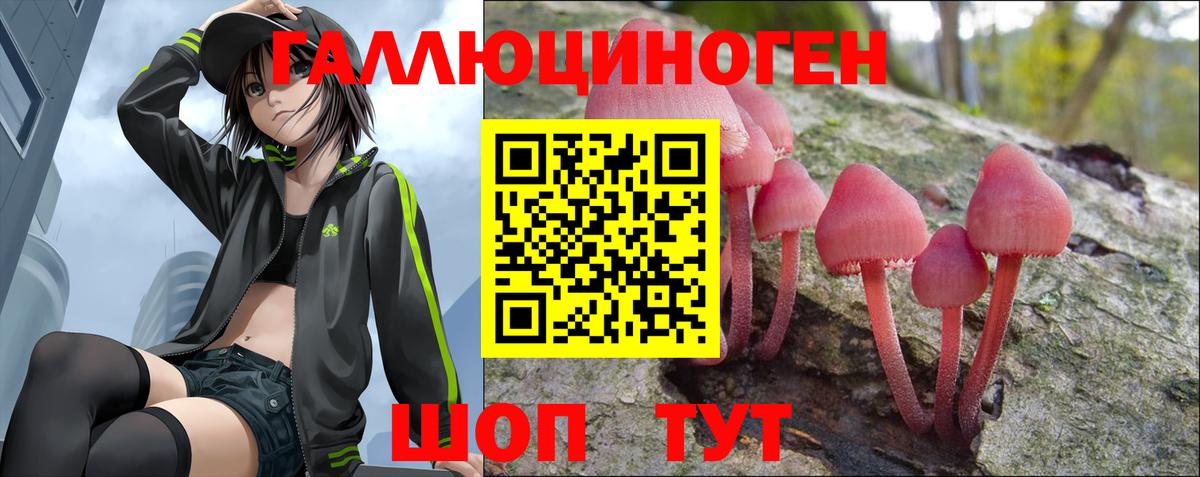 Псилоцибиновые грибы прущие грибы  Сатка  Псилоцибиновые грибы Psilocybe 