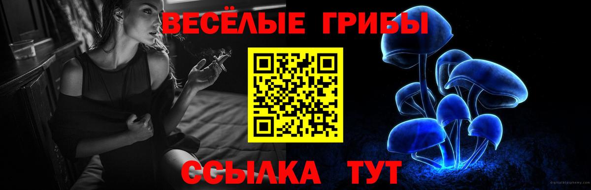 Галлюциногенные грибы Cubensis Сатка